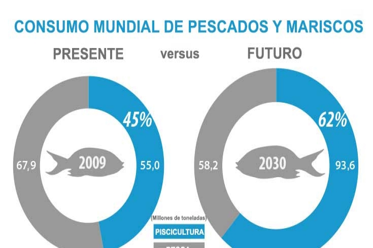 Consumo mundial de pescados y mariscos