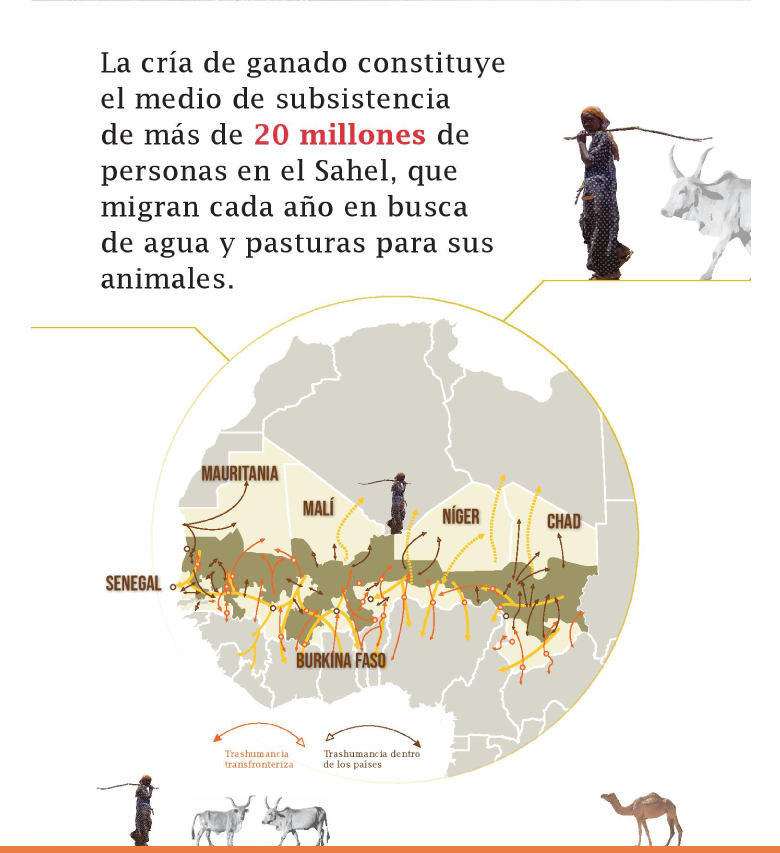 La cría de ganado constituye el medio de subsistencia de más de 20 millones de personas en el Sahel