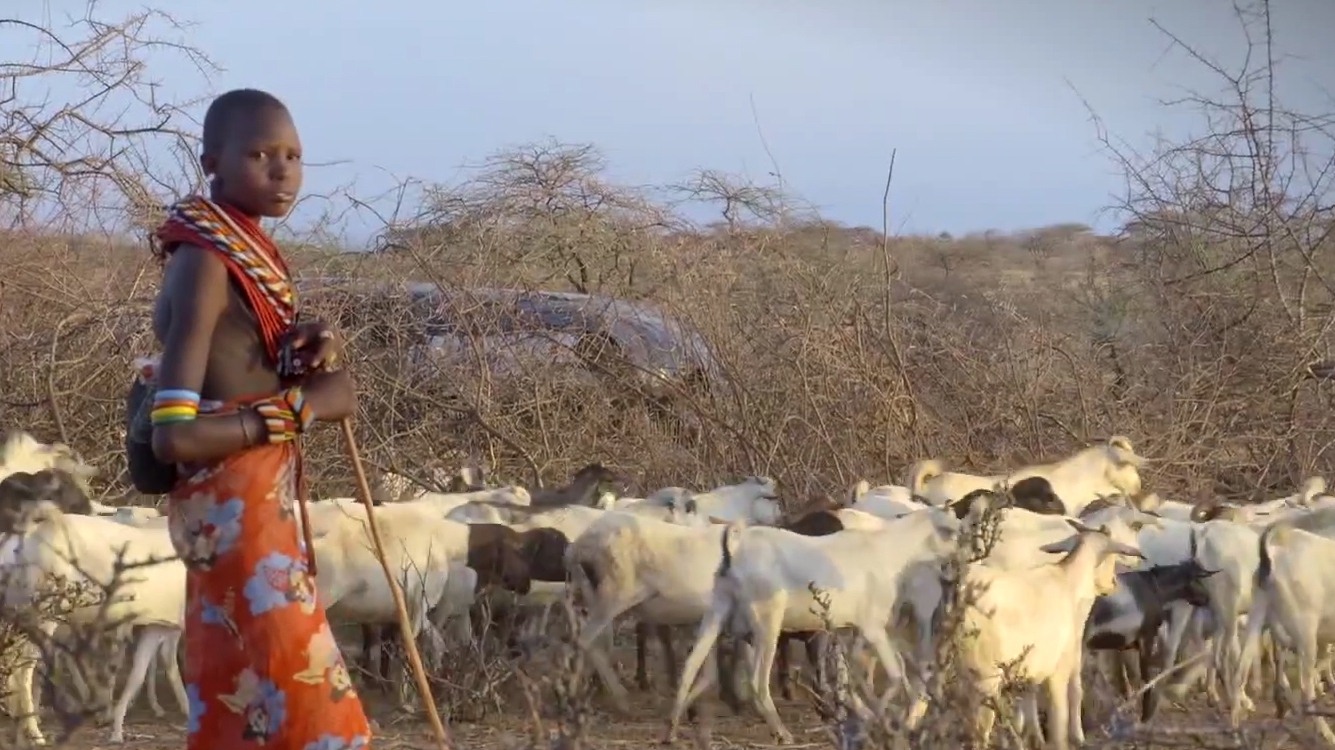 Maneras sorprendentes de combatir el cambio climático en Kenya
