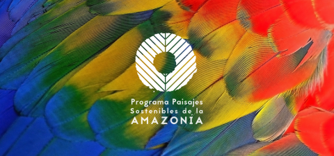 Amazon Sustainable Landscapes Program 