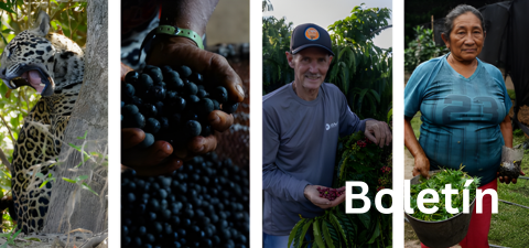 Programa Paisajes Sostenibles de la Amazonía. Boletín Diciembre 2025