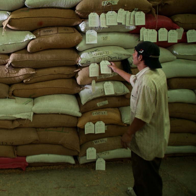 Hombre revisa las etiquetas de los sacos de café en una empresa productora de este grano en Guatemala 