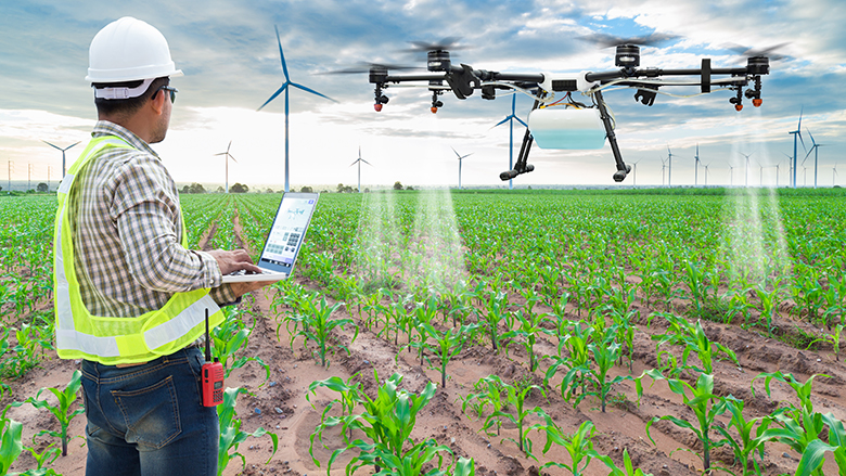 Technician farmer use wifi computer control agriculture drone fly to sprayed fertilizer on the corn fields