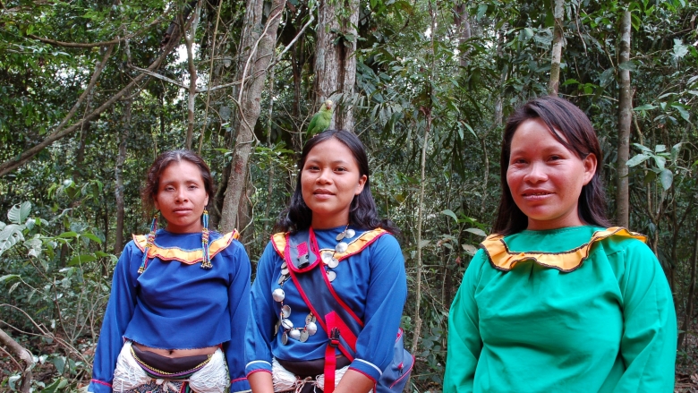 Las Lenguas Indigenas De La Amazonia Tienen Claves Para La