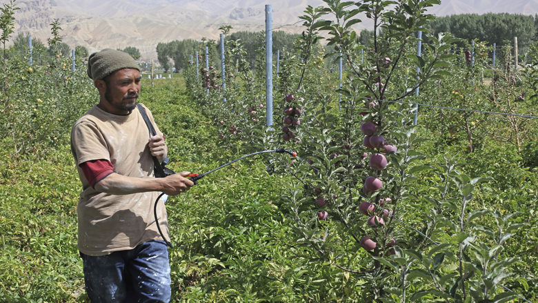 Agricultor miembro del Proyecto Nacional de Horticultura y Ganadería