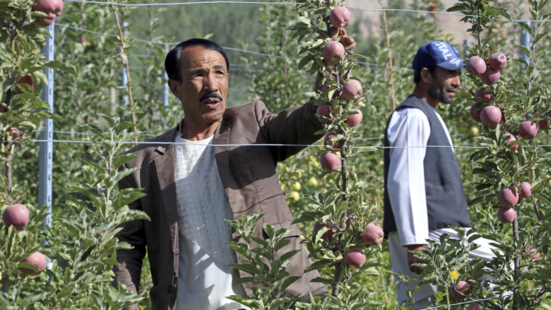 Amin, uno de los miles de agricultores afganos, en la provincia de Bamyan, que ha aprendido nuevas técnicas agrícolas y ha aumentado sus ingresos anuales con la ayuda del Proyecto Nacional de Horticultura y Ganadería