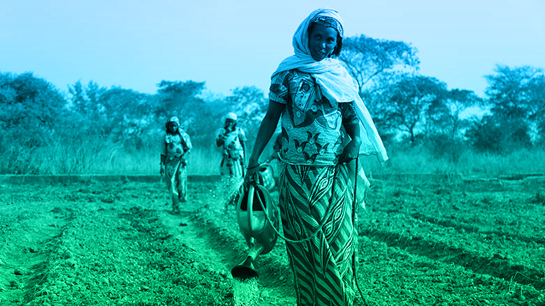 Seguridad alimentaria en el Chad: el éxito de la participación de refugiados y comunidades de acogida en la horticultura.