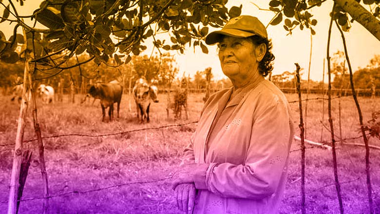 María Gladys, a sus 73 años, regresó a la escuela y transformó su terreno en un 