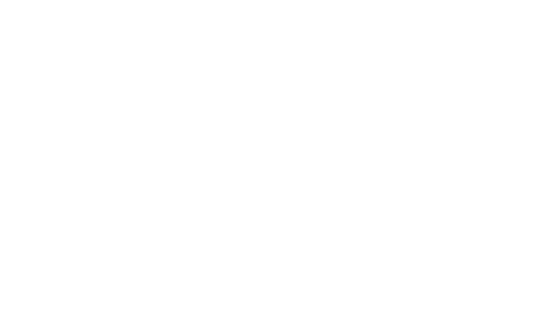 Spring Meeting logo