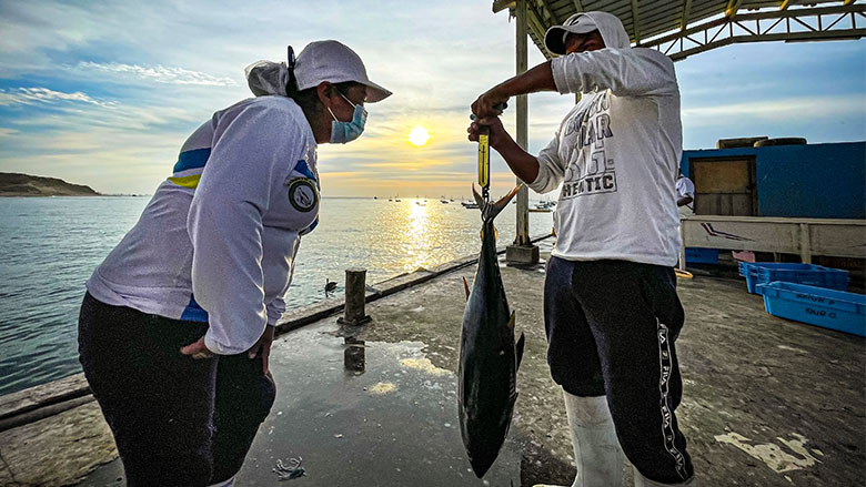 Pescadores en Perú 