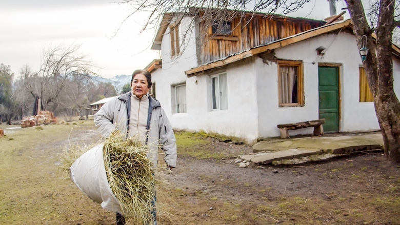 En Argentina, tecnologías agrícolas ayudan a familias rurales a mejorar su inclusión productiva