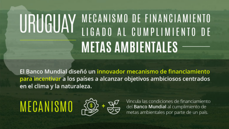 Infografía de proyecto en Uruguay