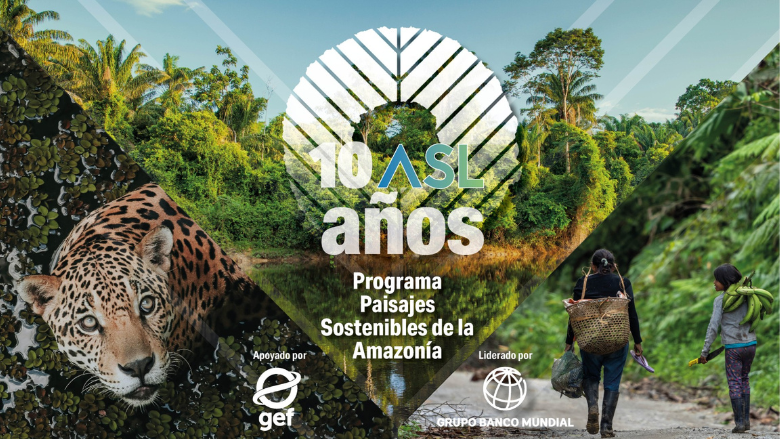 Programa Paisajes Sostenibles de la Amazonía. 10 Años