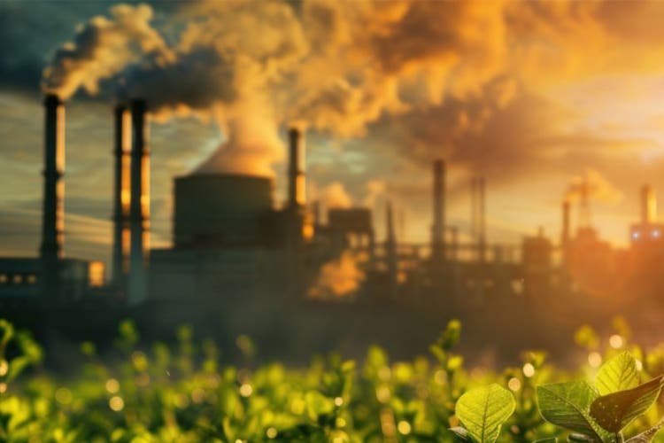 Nuevo informe: Situación y tendencias de la fijación del precio del carbono 2025